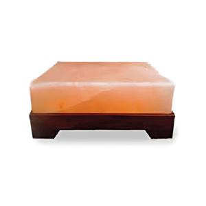 foot detoxifier